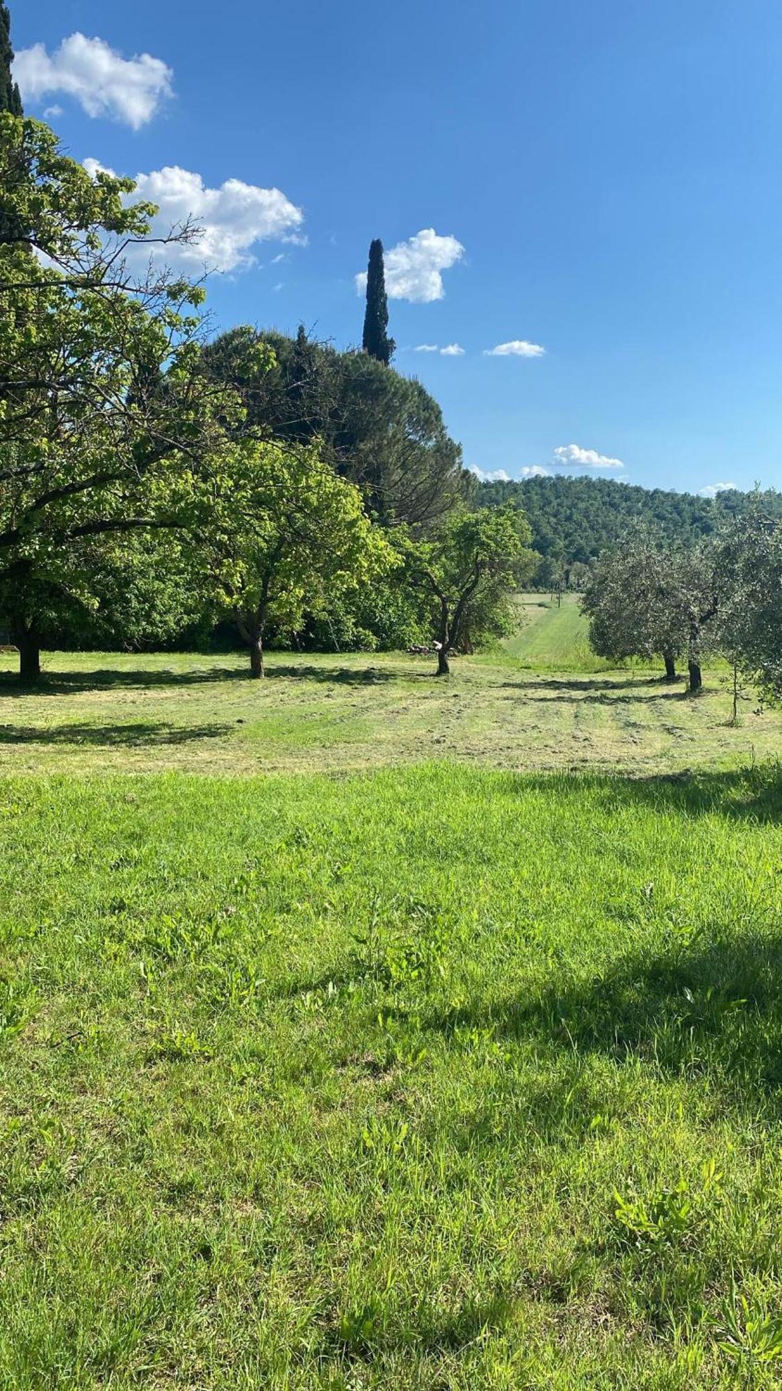 Casa Vacanze Podere San Giusto Volterra Eksteriør billede