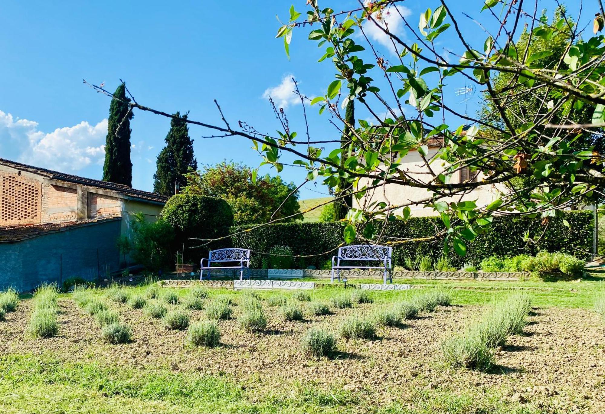 Casa Vacanze Podere San Giusto Volterra Eksteriør billede