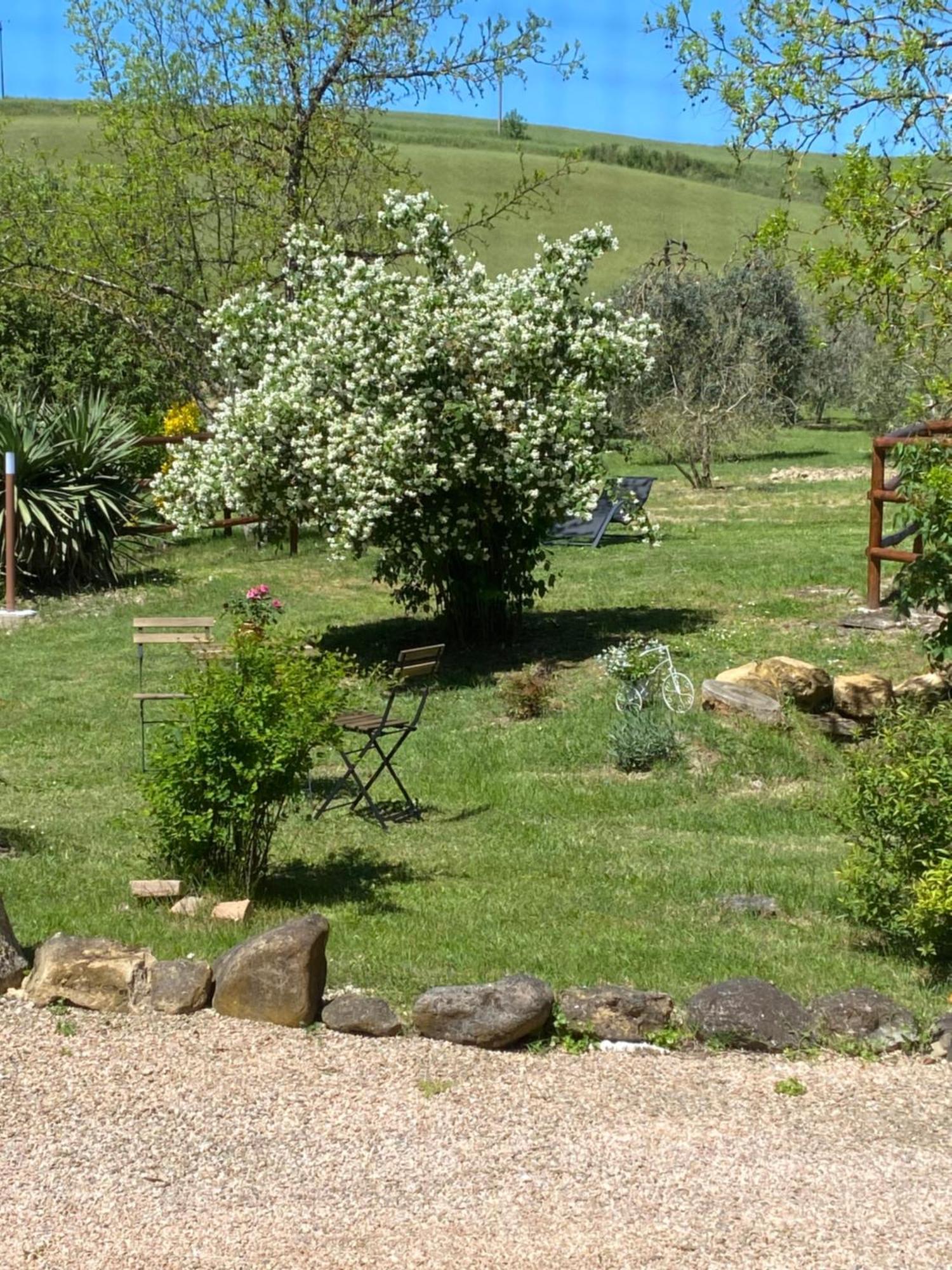 Casa Vacanze Podere San Giusto Volterra Eksteriør billede